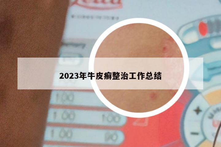 2023年牛皮癣整治工作总结